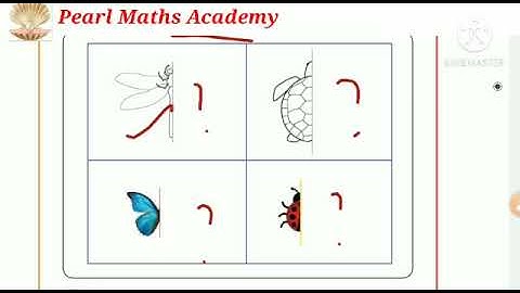 4th std Maths | Term 2 | Unit - 1 | Geometry | Introduction of symmetry | Exercise 1.1