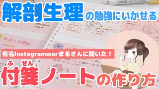 【解剖生理の勉強に使える！】付箋ノートの作り方を有名インスタグラマーまるさんに聞いてきた！