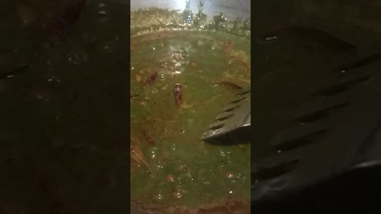 kidz favourite food maggie