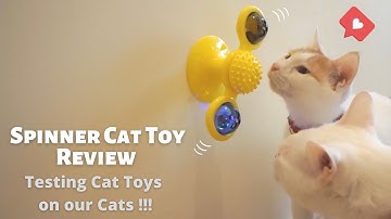 Cat Fidget Spinner (Windmill Cat Toy) Review – Funny and Cute !