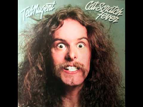 ted nugent - wang dang sweet poontang