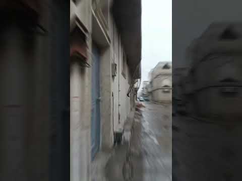 ثلج ثلوج يابا