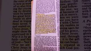 Campa - Dead Walking Man