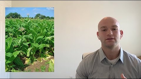 Howard v Federal Crop Ins. Corp. | Contractual conditions vs promises