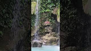Nature 🌳 #chill #thankfulforeverything #love #thankfulnomatterwhat #daranakfalls