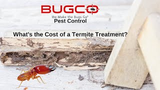 What's the Cost of a Termite Treatment?