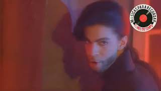 Prince - Thieves In The Temple #túneldotempo #músicasinesqueciveis #musicaspararecordar #música