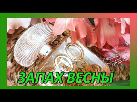 🌺 САМЫЕ КОМПЛИМЕНТАРНЫЕ и ЖЕНСТВЕННЫЕ ароматы в МОЕЙ КОЛЛЕКЦИИ🌺ЗАПАХ ВЕСНЫ [JANNA FET]