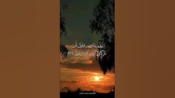 وَيَوْمَ يُنَادِيهِمْ - القارئ: محمد دياب