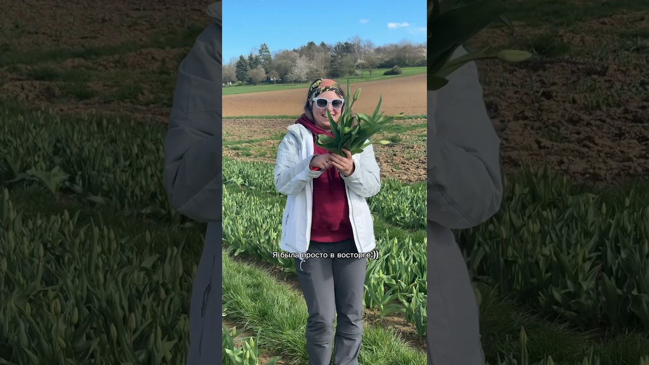 Hessen: 📍L3003, 61440 Oberursel (Taunus)