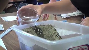 Project-Based Learning in Action: "Digging In 2" Curriculum (PBIS)