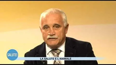 Che malattie possono trasmettere i criceti?