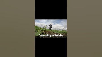 Detecting with the Ninth Legion at Urchfont in Wiltshire. #shorts @NoktaEngineering