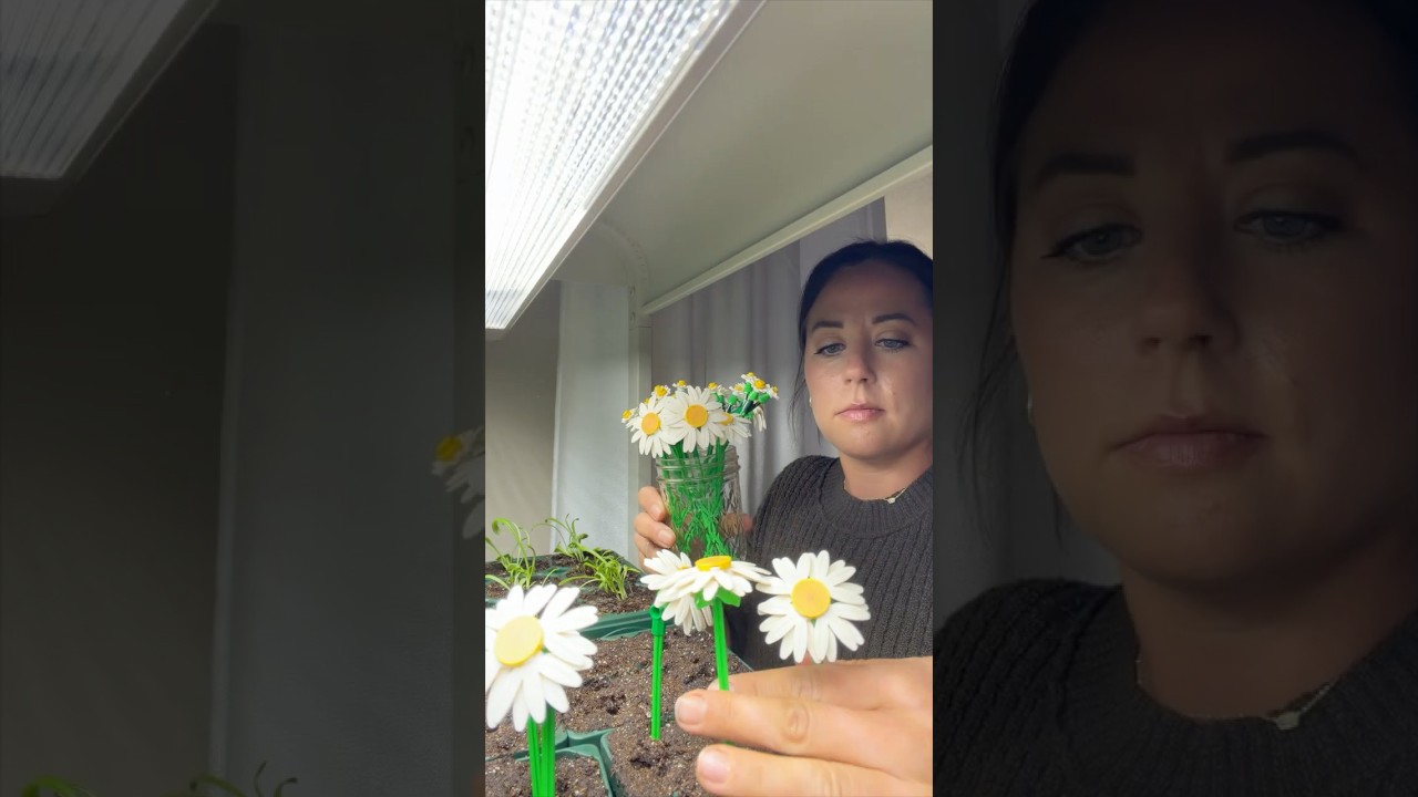 I Wish Seeds Grew This Fast 🌼