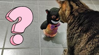 Cat Reacts To New Halloween Decor😸 by Samo Tries Cat Stuff 224 views 6 months ago 48 seconds