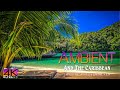 【4K】1 HOUR DRONE FILM: «Ambient and the Caribbean» Ultra HD + Chillout Music (for 2160p Ambient TV)