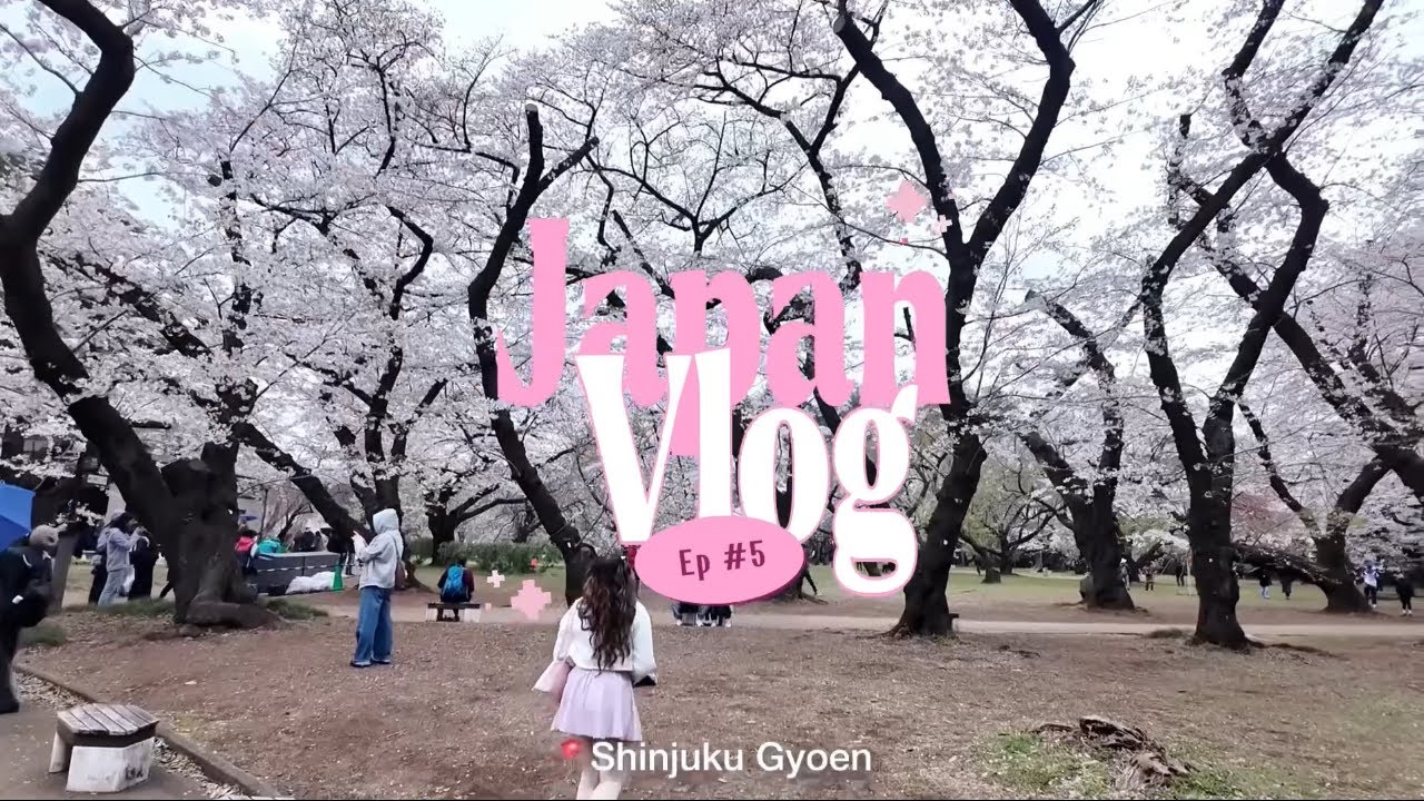 Japan Vlog Ep #5 🗻FUJI | SAKURA 🌸