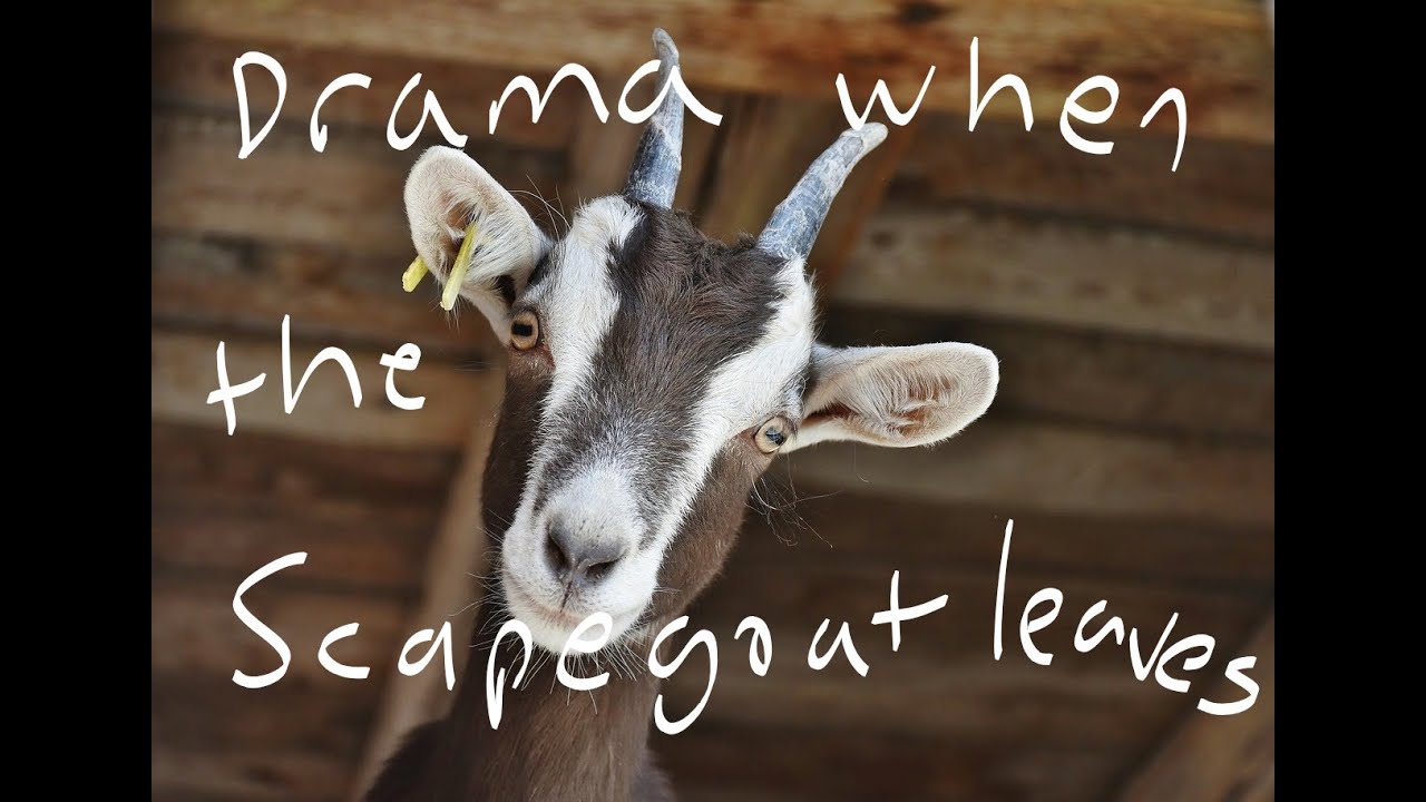 Drama When the Scapegoat Leaves