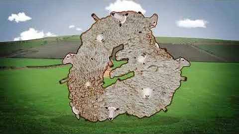 E4 ESting 2015 - #E4SheepSucking