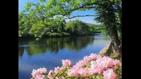 سورة الحديد • عبد الرحمن الدلالي | Abdulrahman al-Dalali • Surah Al Hadid