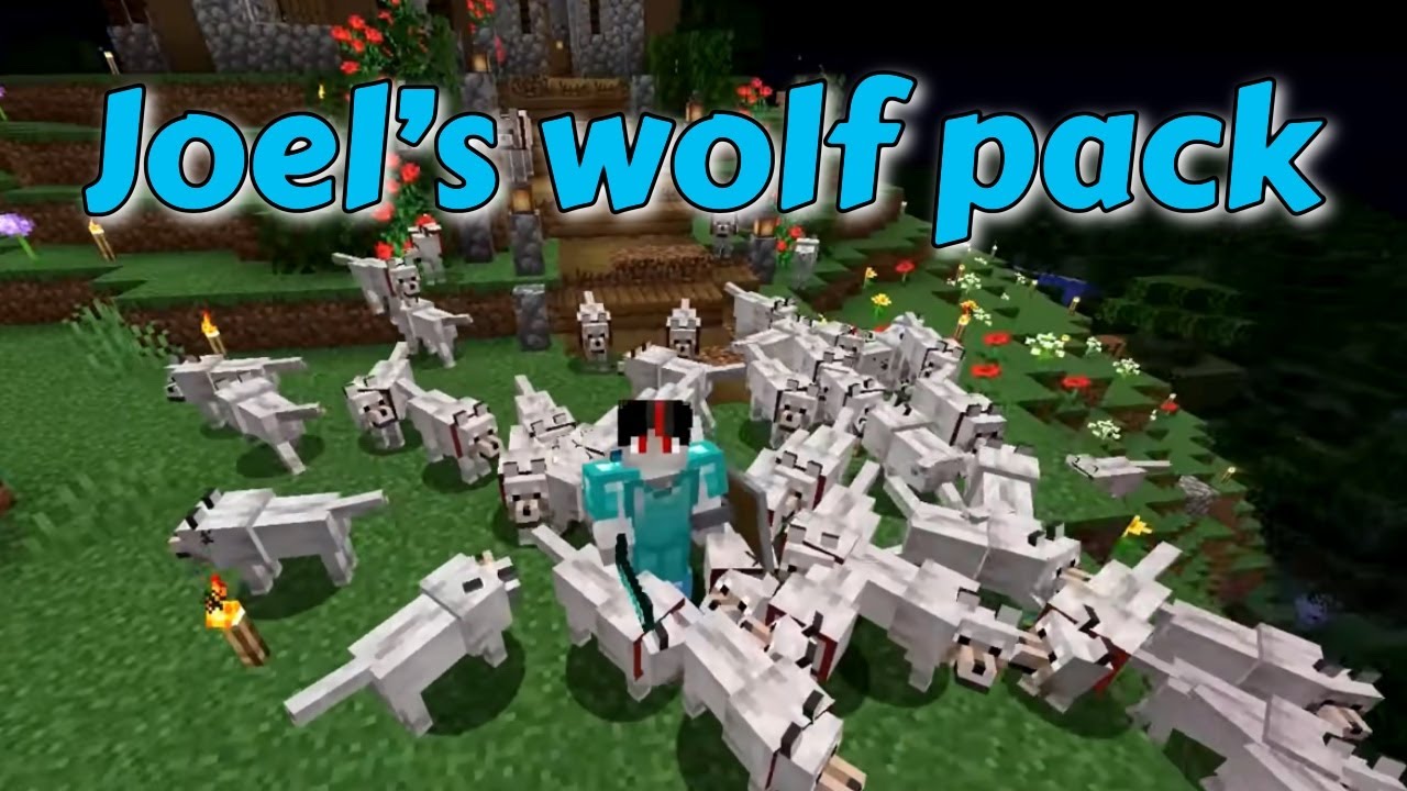 Running With The Wolves/ 3rd Life /