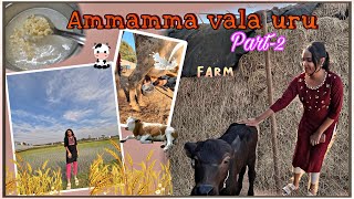 Ammamma vala uru 😍✨part-2 || farm🐄🌾|| nature ,beauty 💕|| Sonys diary