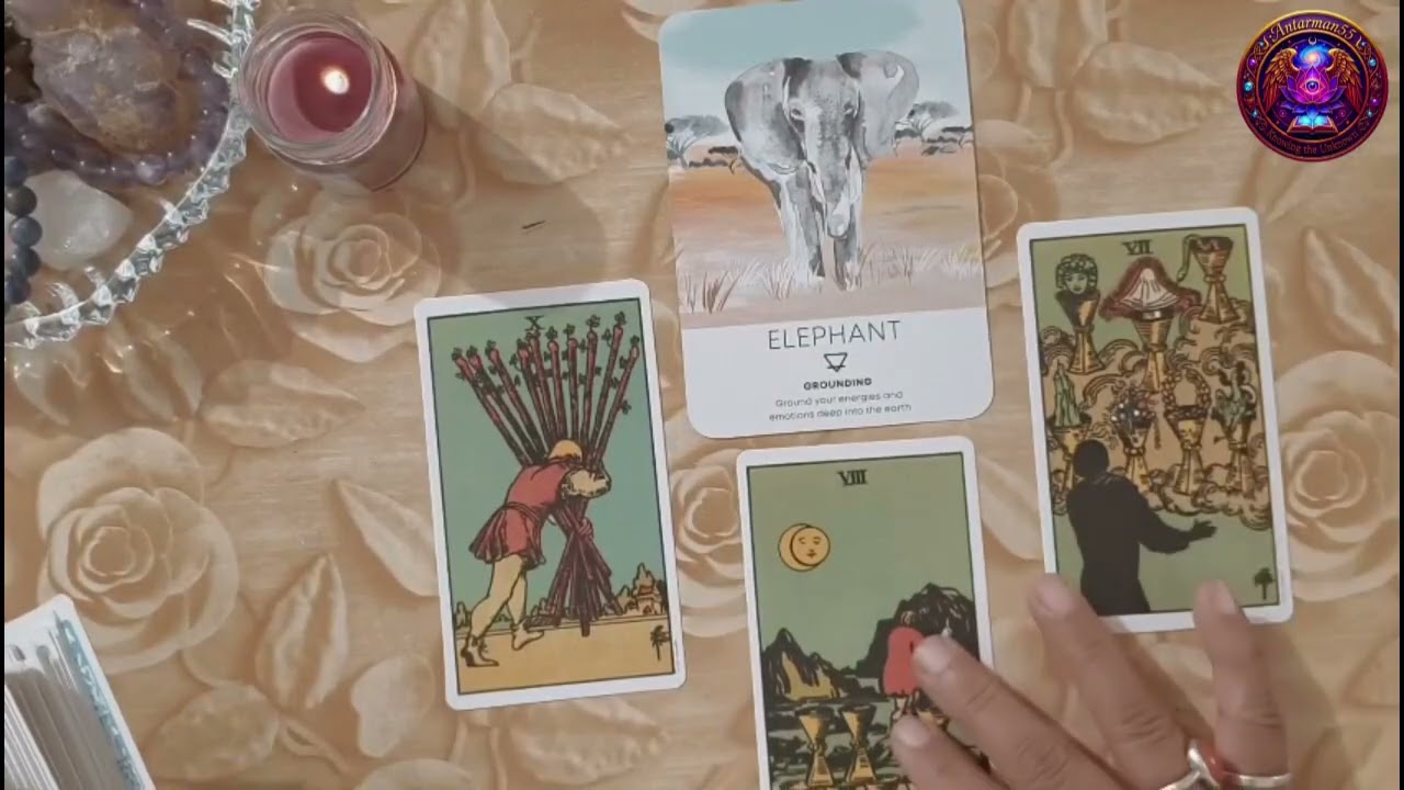 🪶Spirit animal guidance 2026