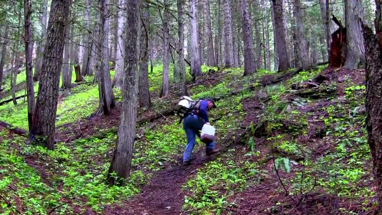 Tagging Out Traditional YouTube