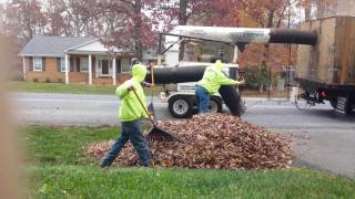Landscape Solutions leaf removal Blue Ridge Va