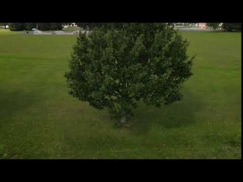Mavic air 2 hyper lapse