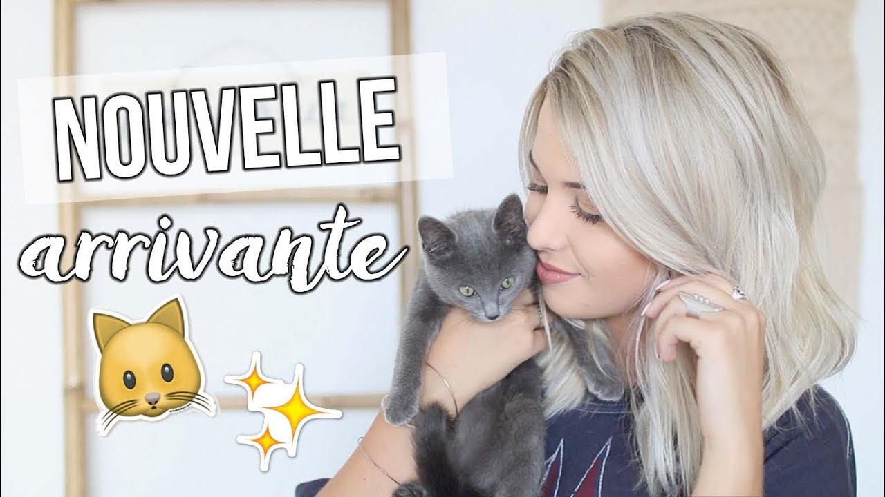 NOUVELLE ARRIVANTE ♡
