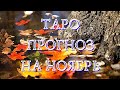 ТАРО ПРОГНОЗ НА НОЯБРЬ 🎃🦇🍁🍂