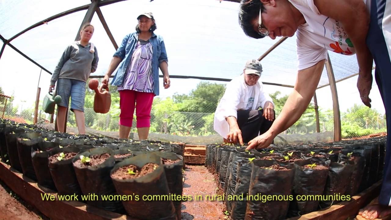 Programa: Reforestemos el Monday- subtitulada en inglés camera iphone 8 plus apk