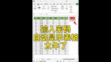 Excel制作加密表格，10秒搞定，太实用了❗ #excel #excel函数 #文员 #职场干货
