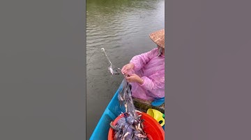 Thả lưới cá chốt #cuahangtuongvi