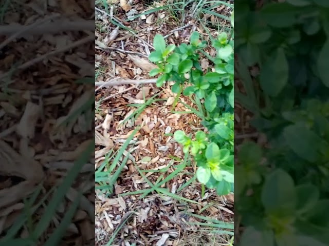 Promoting a Positive and respectful environment