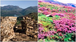 Marayoor and Neelakurinji