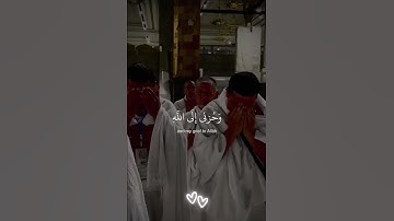 قال إنّما أشكو بَثّي وحُزني إلى اللّٰه | القارئ إسلام صبحي #تلاوة_هادئة