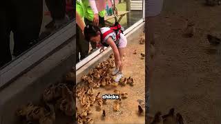 The absolute chaos of an interactive animal experience…