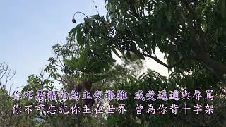 TJC讚美詩_271 不要懼怕
