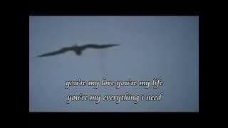 Randy Pangalila - Everything I Need (Lyrics)