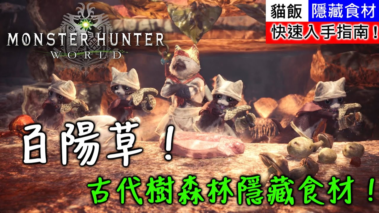 Mhw 古代樹森林隱藏食材 百陽草 快速入手指南 魔物獵人世界 Youtube