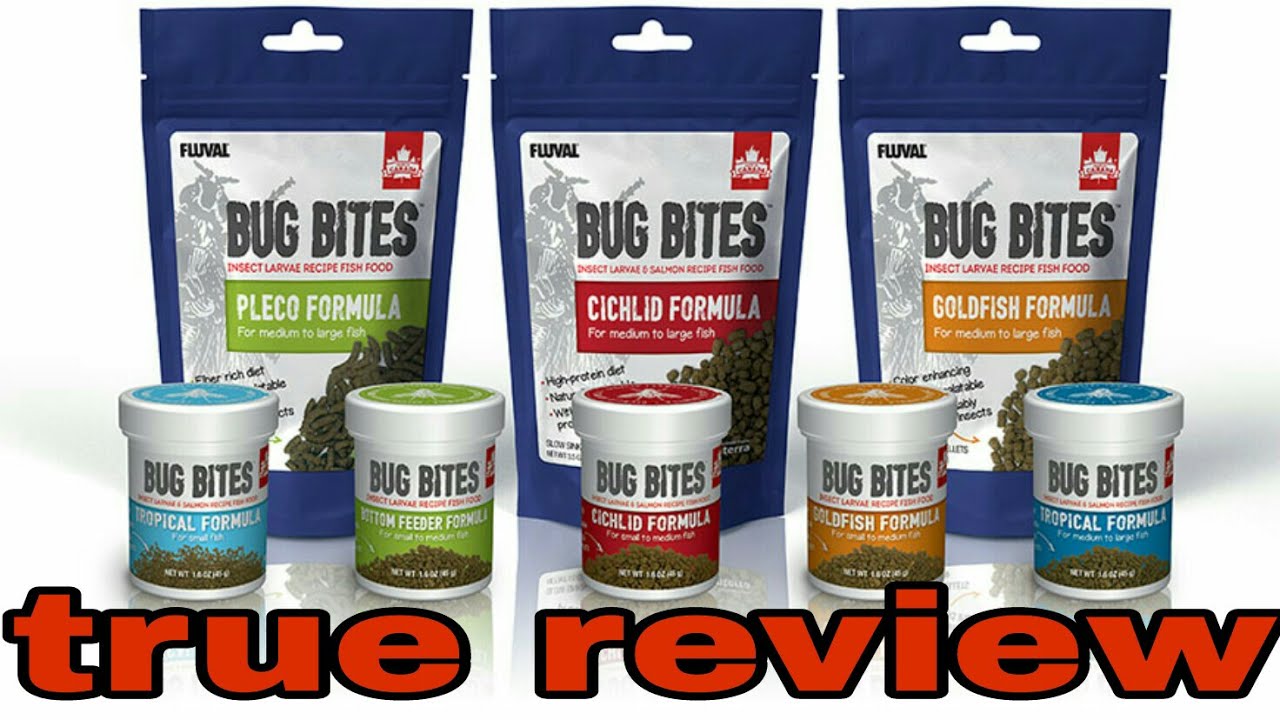 fluval bug bites