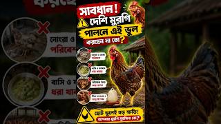 সাবধান! দেশি মুরগি পালনে এই ভুল করছেন না তো? #chickenfarming #deshimurgi #chicken #shortfeed #shorts