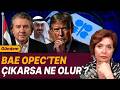 OPEC DAĞILIRSA BENZİN FİYATI NE OLUR ?