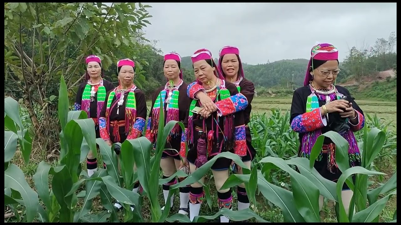 kêm mun, ca sĩ lý múi +cô thu hát đắp đối cực phê (2024)