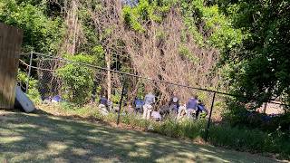 Human remains of 3 children found in Memphis neighborhood, MPD says