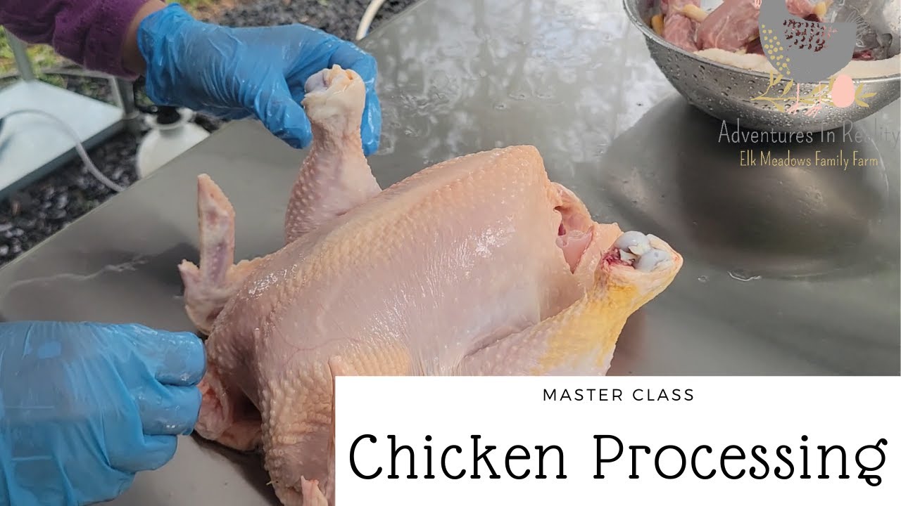 How To: Chicken Processing | Adventures In Reality - YouTube