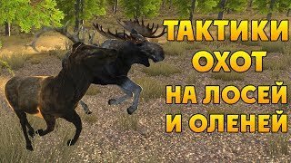 ВСЁ О ЛОСЯХ И ОЛЕНЯХ | WolfQuest 2.7.3