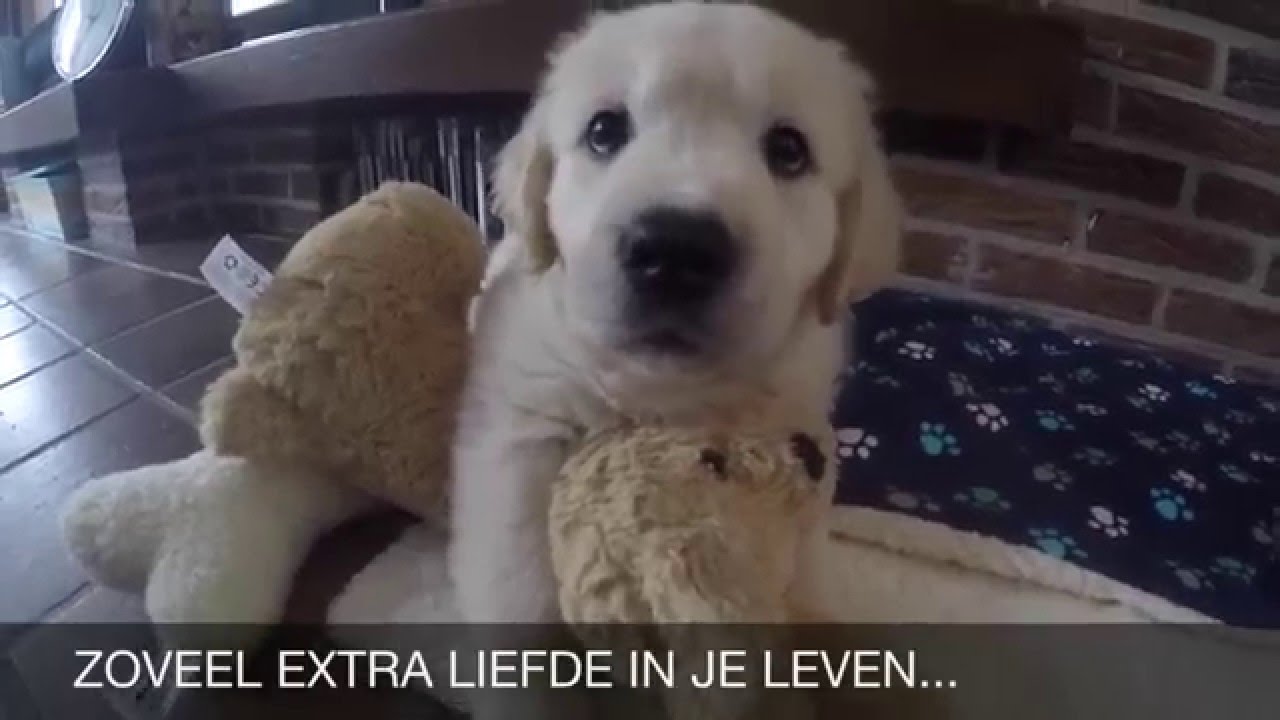 Avonturen van Olivier #14 - Compilatie 8weken t/m 19weken